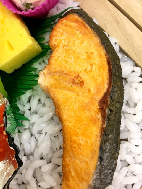 食品サンプル　鮭弁当