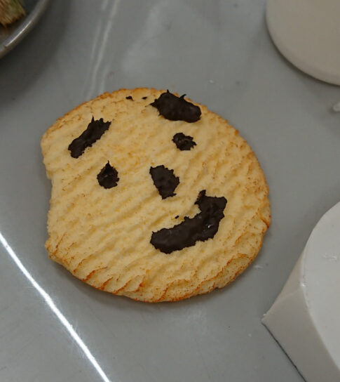 食品サンプル　クッキー