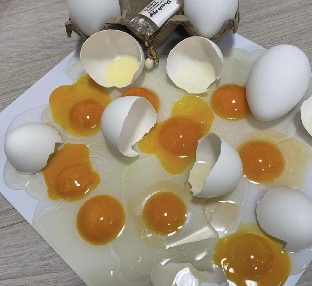 食品サンプル　生卵