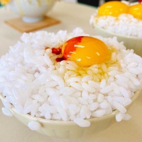 食品サンプル　卵かけご飯