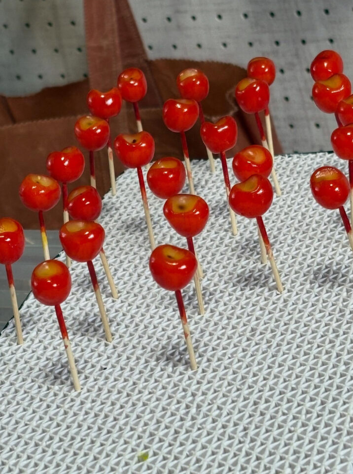 食品サンプル　さくらんぼ