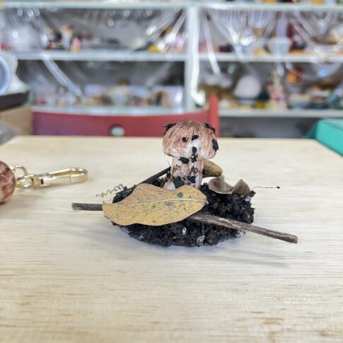 食品サンプル　松茸