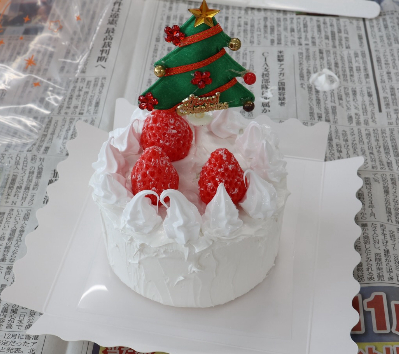 食品サンプル　クリスマスケーキ