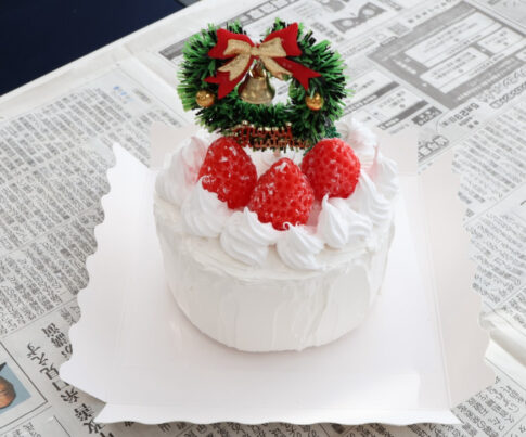 食品サンプル　クリスマスケーキ